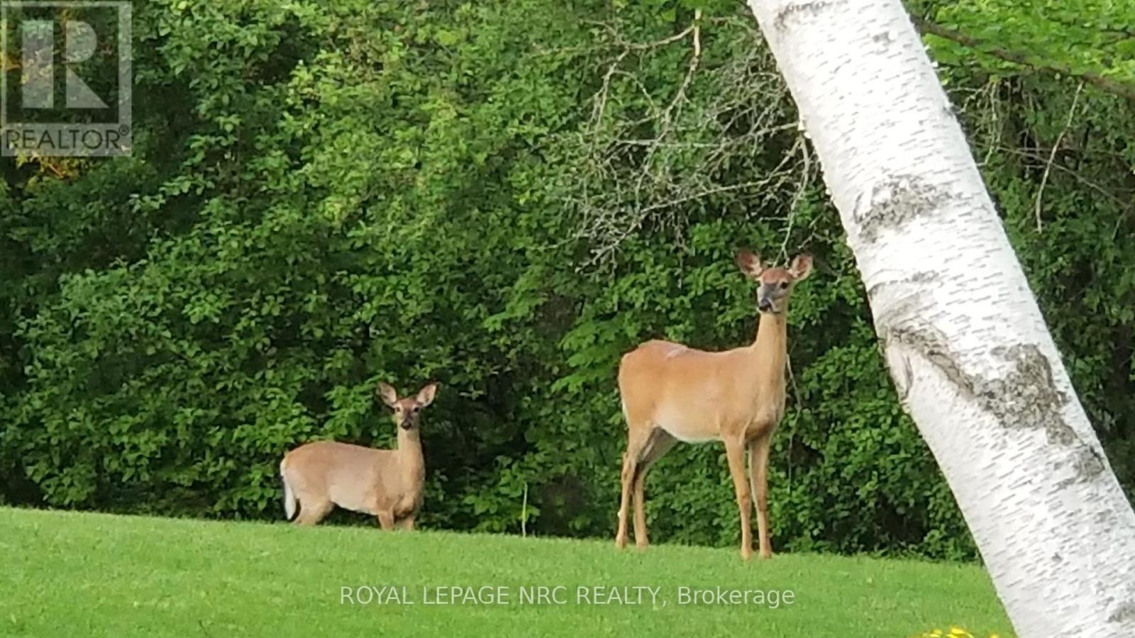 81 Riverview Boulevard, St. Catharines (Glendale/Glenridge), ON - Outdoor