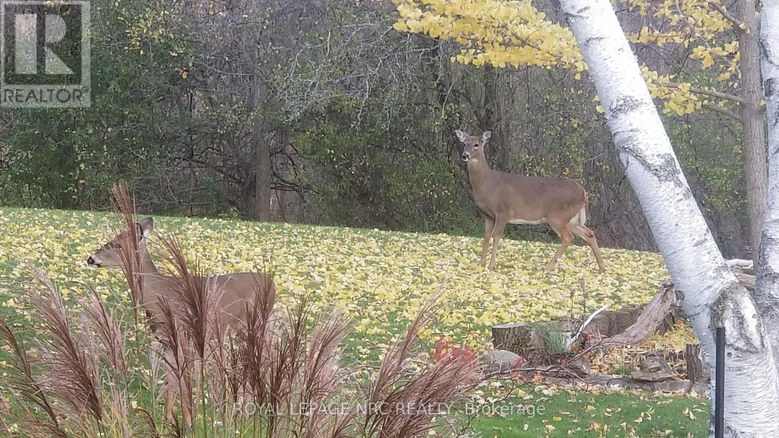 81 Riverview Boulevard, St. Catharines (Glendale/Glenridge), ON - Outdoor With View