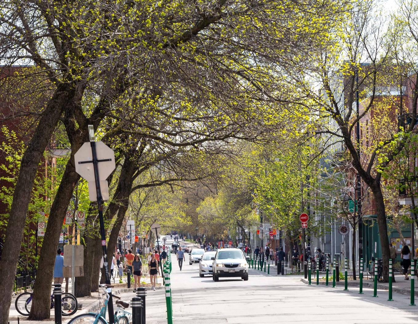 Rue - 5025 Rue Fabre, Montréal (Le Plateau-Mont-Royal), QC - Outdoor