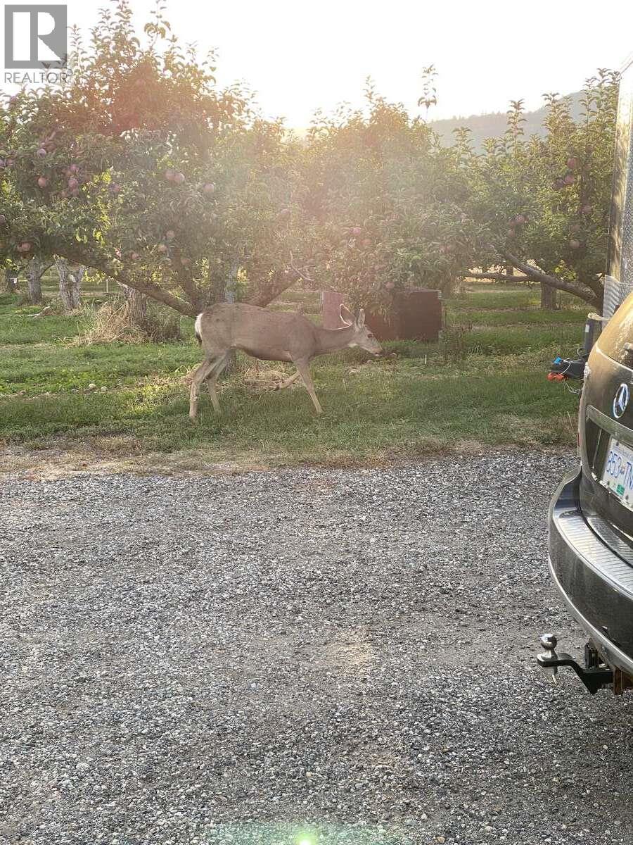 13606 Cooke Avenue, Summerland, BC - Outdoor