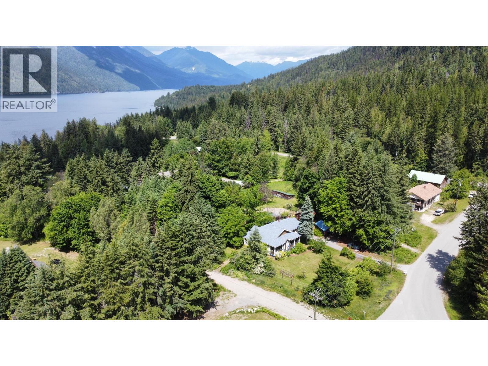 1305 Denver Siding Road, New Denver, BC - Outdoor With View