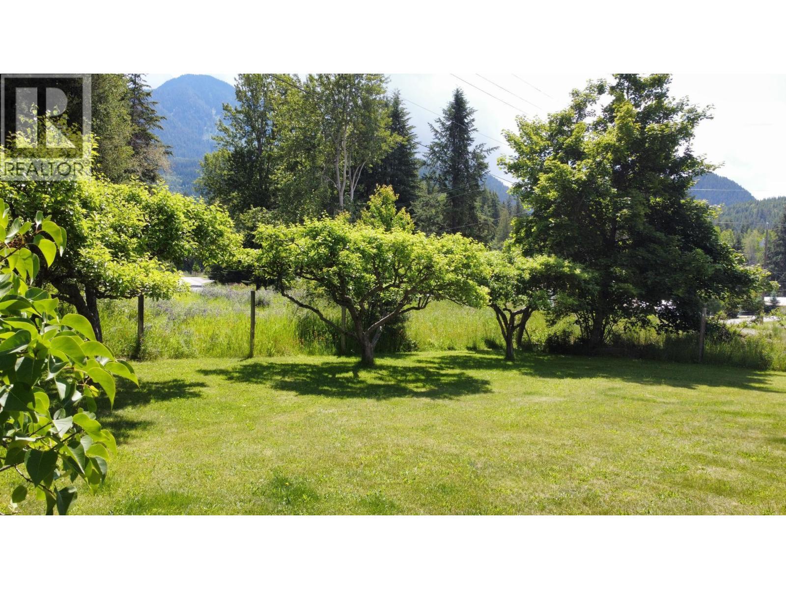 1305 Denver Siding Road, New Denver, BC - Outdoor