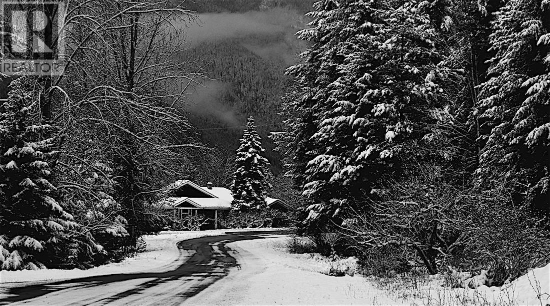 1305 Denver Siding Road, New Denver, BC - Outdoor