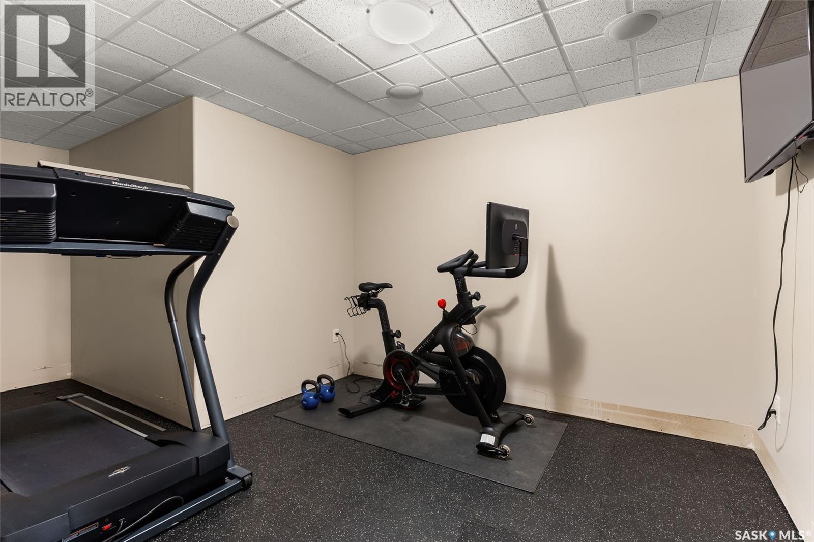 Batters Acreage, Moose Mountain Rm No. 63, SK - Indoor Photo Showing Gym Room