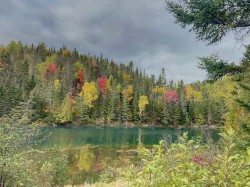 Vue sur l'eau -