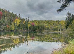 Vue sur l'eau -