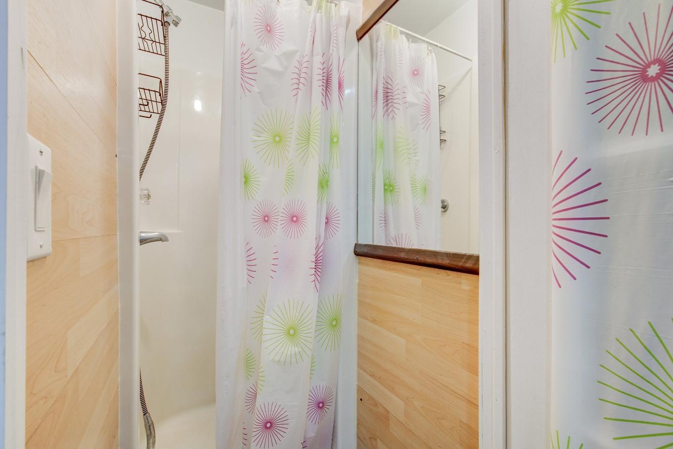 Autre - 315 Rue Gagnier, Montréal (Pierrefonds-Roxboro), QC - Indoor Photo Showing Bathroom