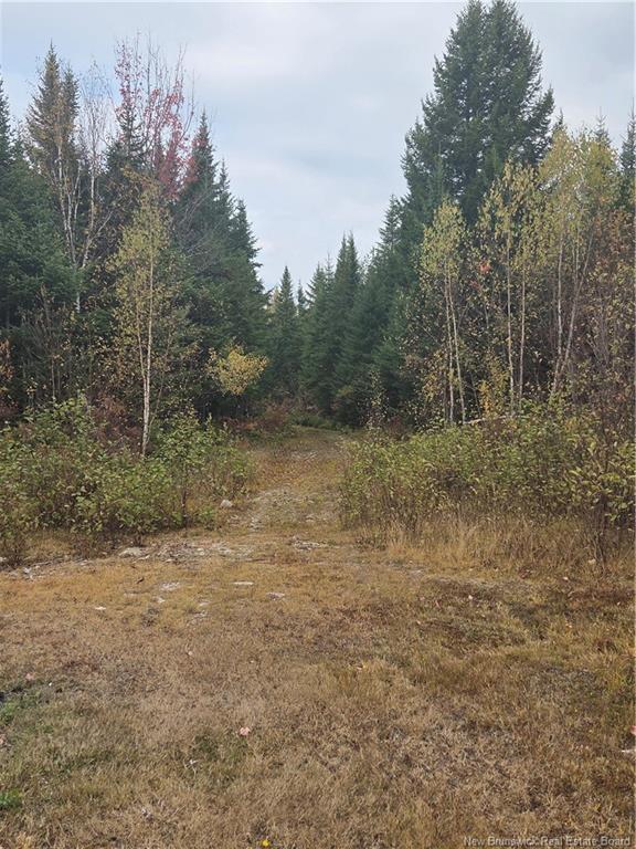 000 Kingsley Rd, Estey'S Bridge, NB