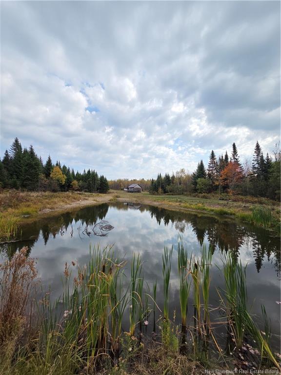 000 Kingsley Rd, Estey'S Bridge, NB