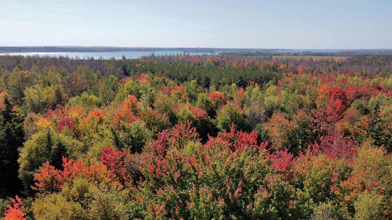 845 Portage Road, Tenmile House, PE