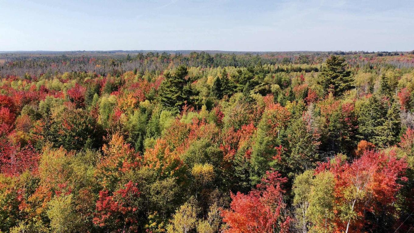 845 Portage Road, Tenmile House, PE