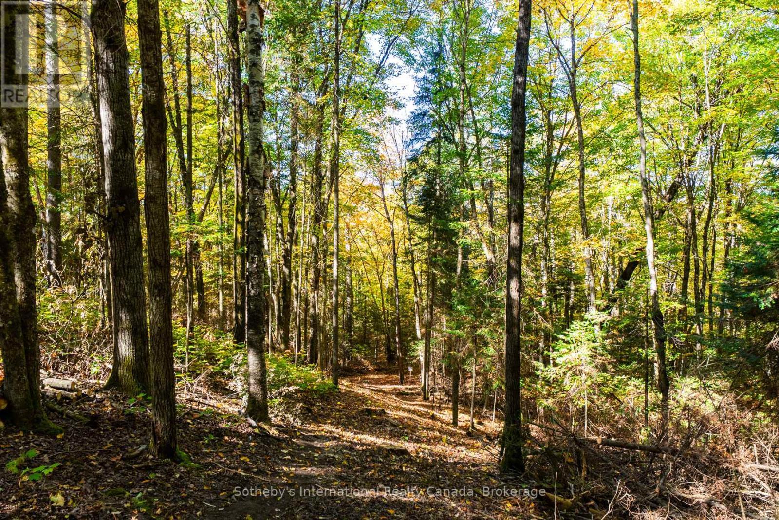 64 Bowyer Road, Huntsville (Chaffey), ON - Outdoor With View