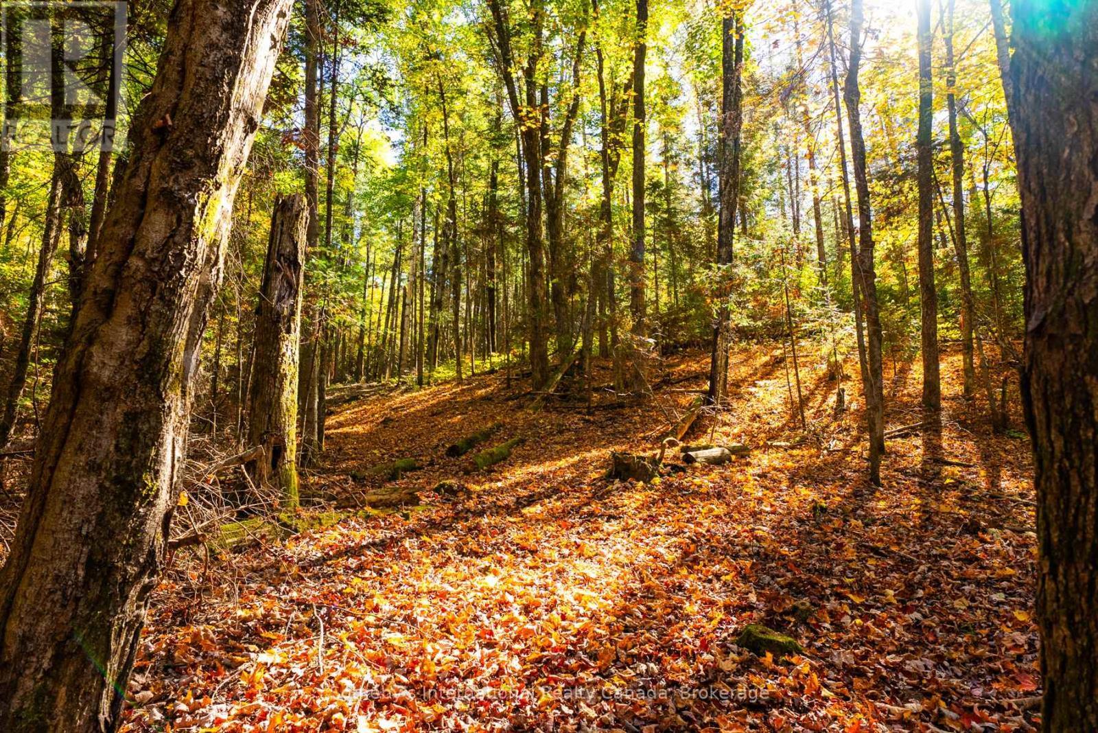 64 Bowyer Road, Huntsville (Chaffey), ON - Outdoor With View