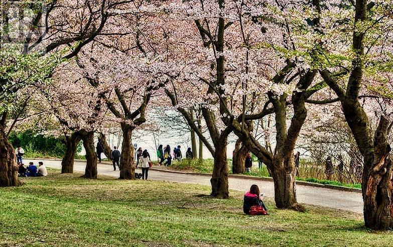 811 - 80 Quebec Avenue, Toronto, ON - Outdoor