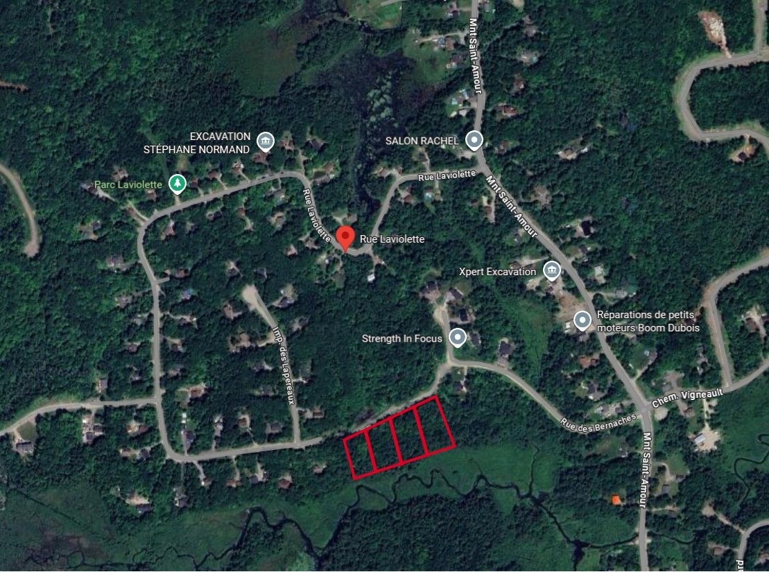 Vue d'ensemble - 617 Rue Laviolette, Cantley, QC