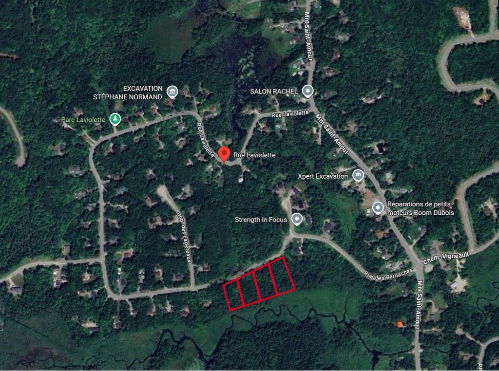 Vue d'ensemble - 617 Rue Laviolette, Cantley, QC