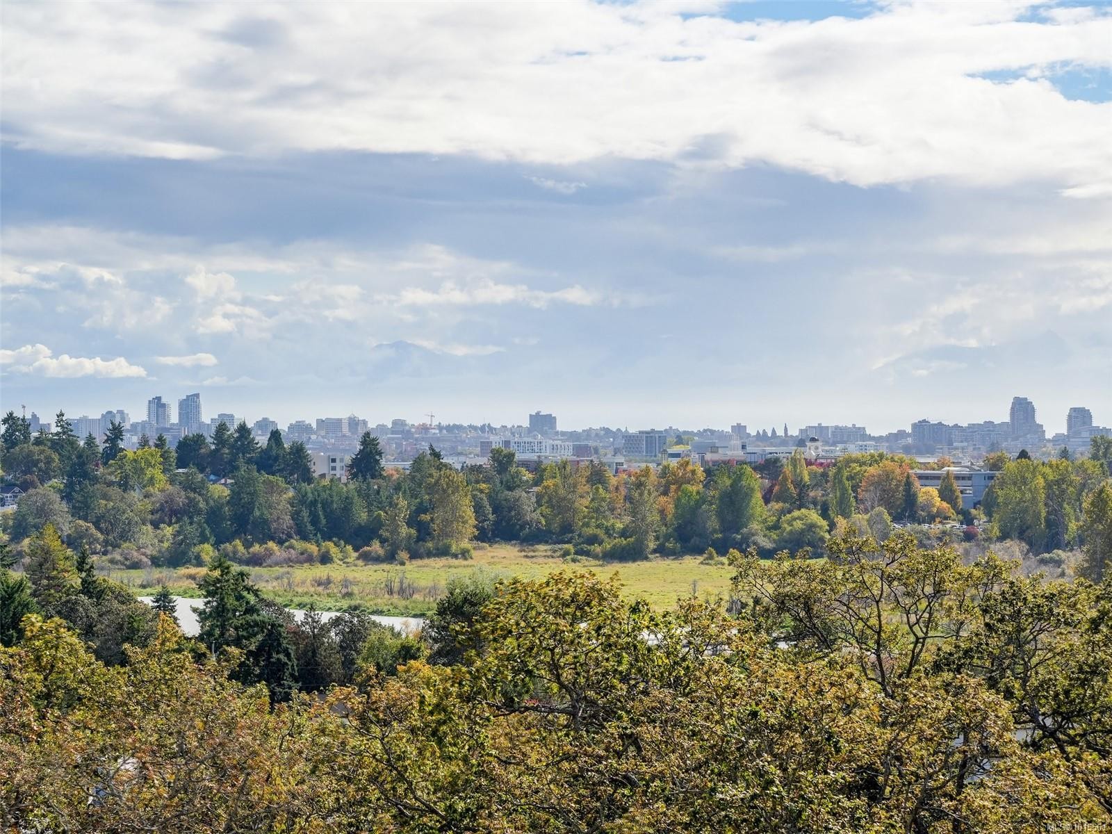 603-4009 Rainbow Hill Lane, Saanich, BC - Outdoor With View