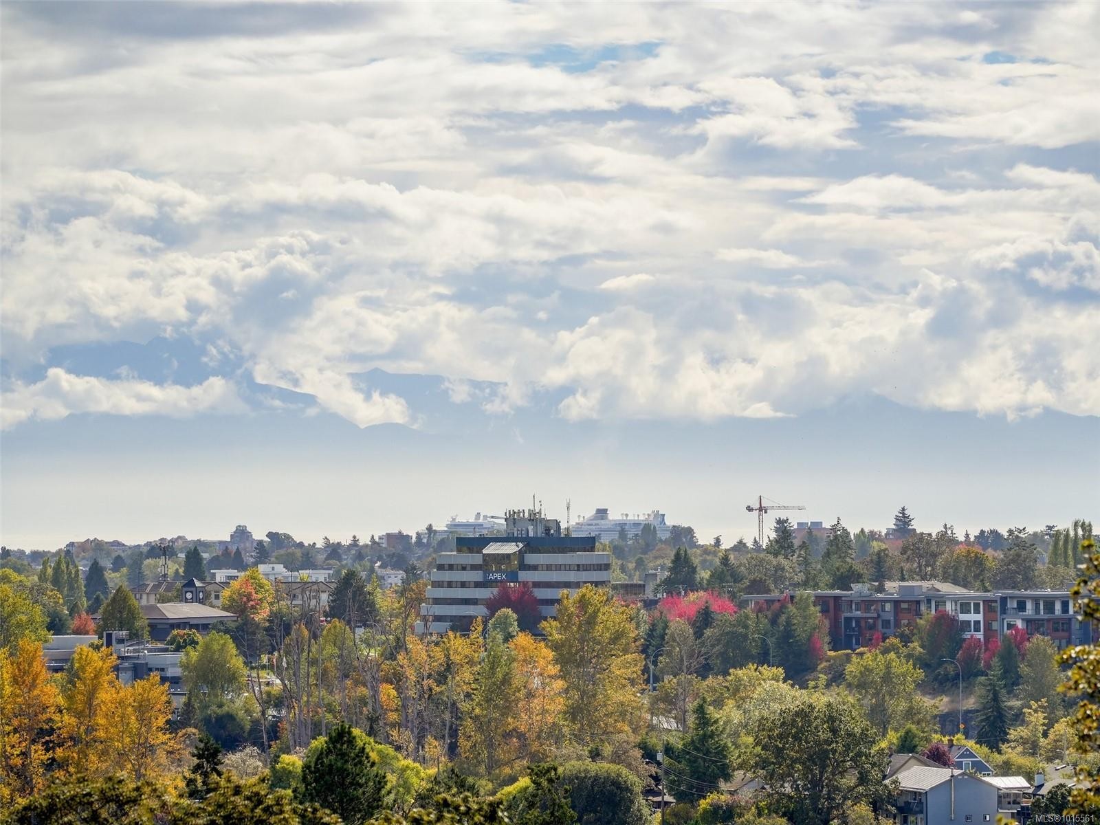 603-4009 Rainbow Hill Lane, Saanich, BC - Outdoor With View