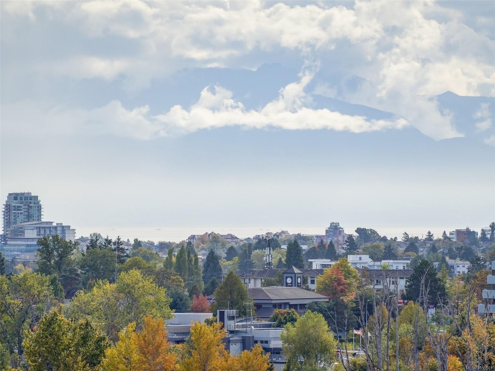603-4009 Rainbow Hill Lane, Saanich, BC - Outdoor With View