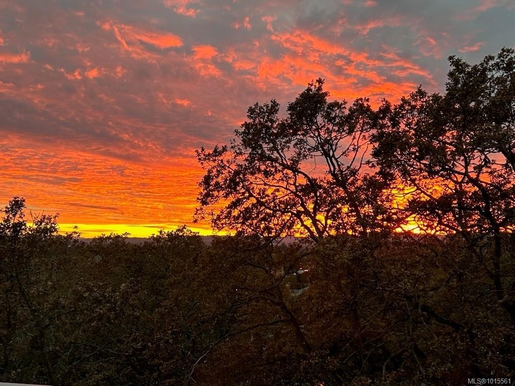 603-4009 Rainbow Hill Lane, Saanich, BC - Outdoor With View