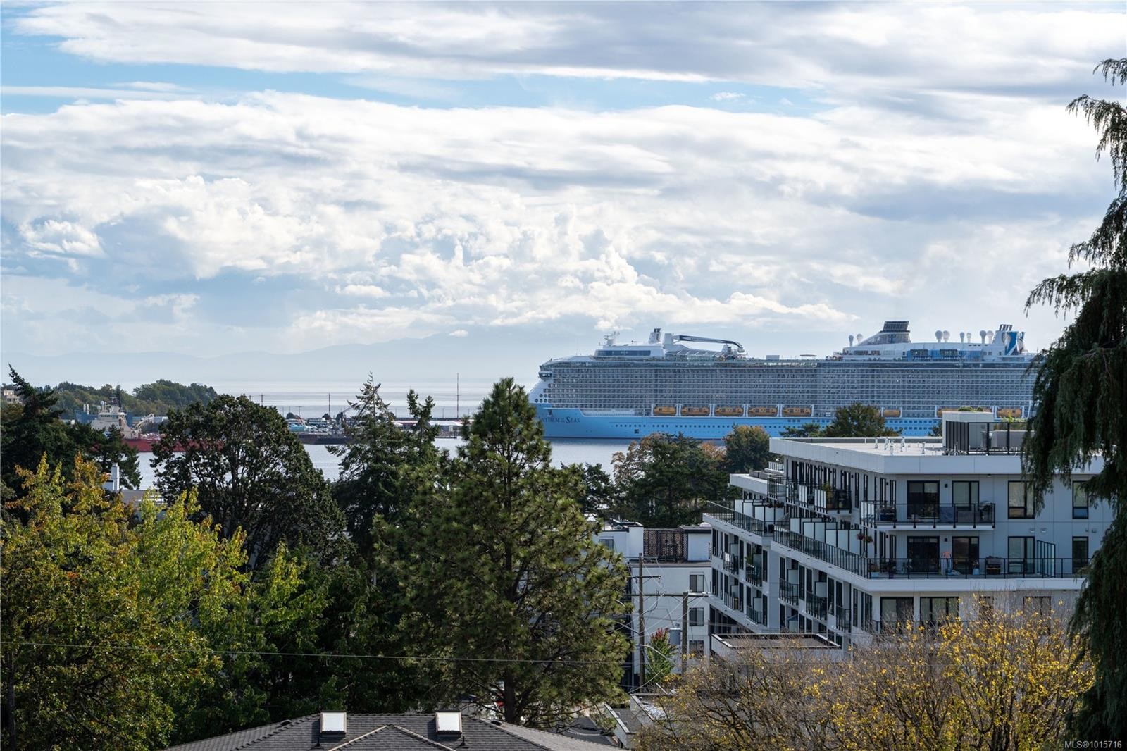 107-873 Esquimalt Rd, Esquimalt, BC - Outdoor With View