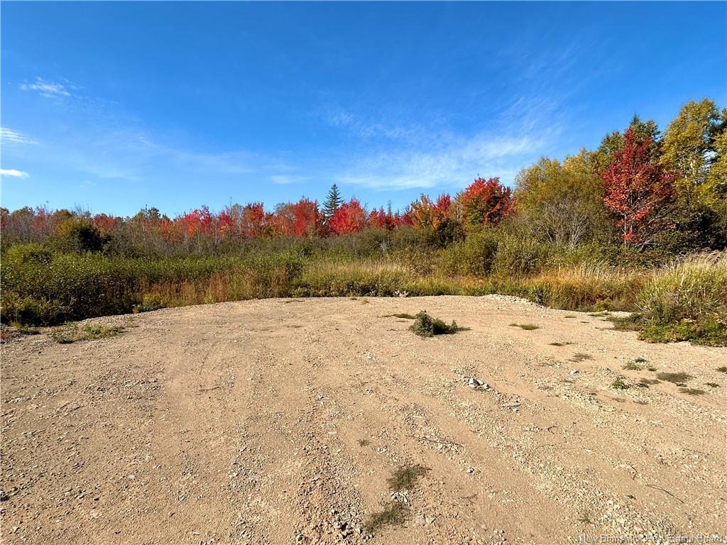 8249 Route 117, Black River Bridge, NB