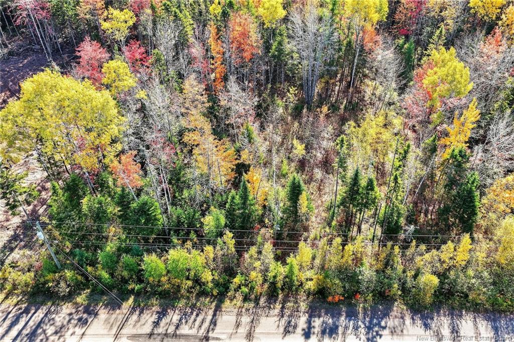 Lot 16 Patriot Crt, Salisbury, NB