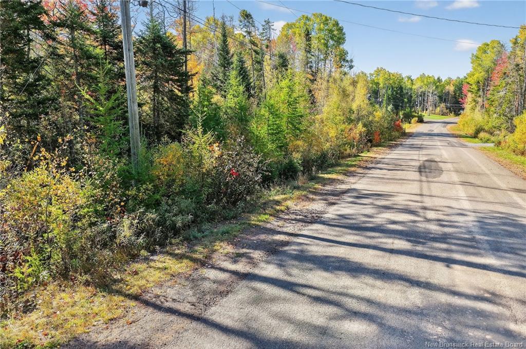 Lot 16 Patriot Crt, Salisbury, NB