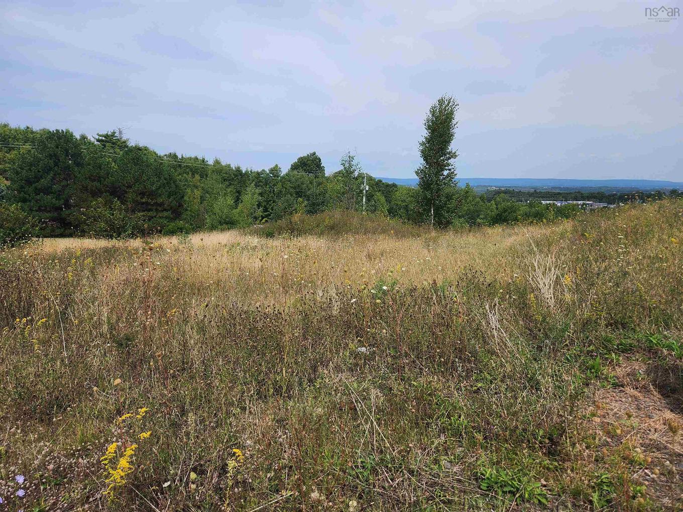 Lot 2 Falcon Drive, Canaan, NS