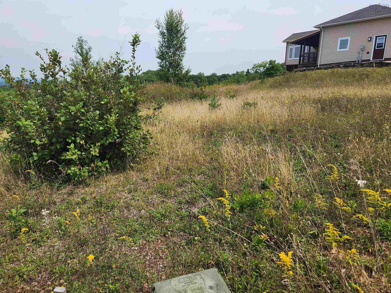 Lot 2 Falcon Drive, Canaan, NS