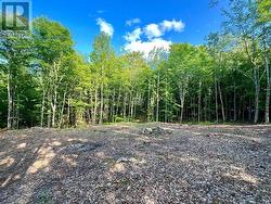 678 CENTREVIEW ROAD Hastings Highlands (Bangor Ward), ON K0J 1L0