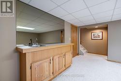 Rec Room - Wet Bar -