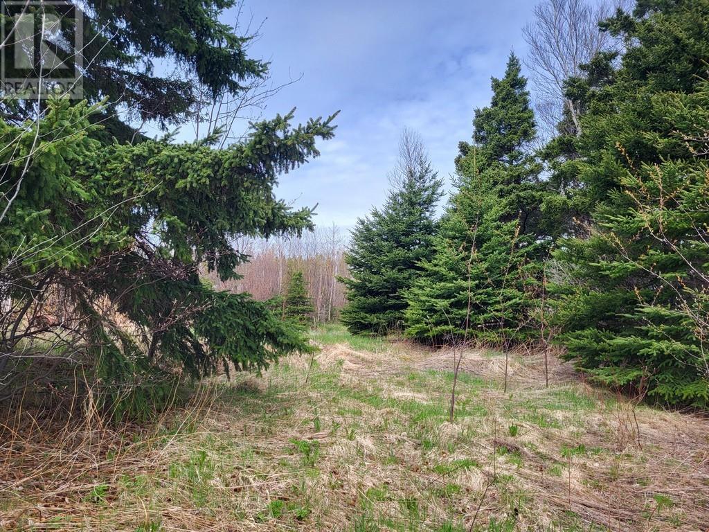 394 Main Street, Northern Arm, NL