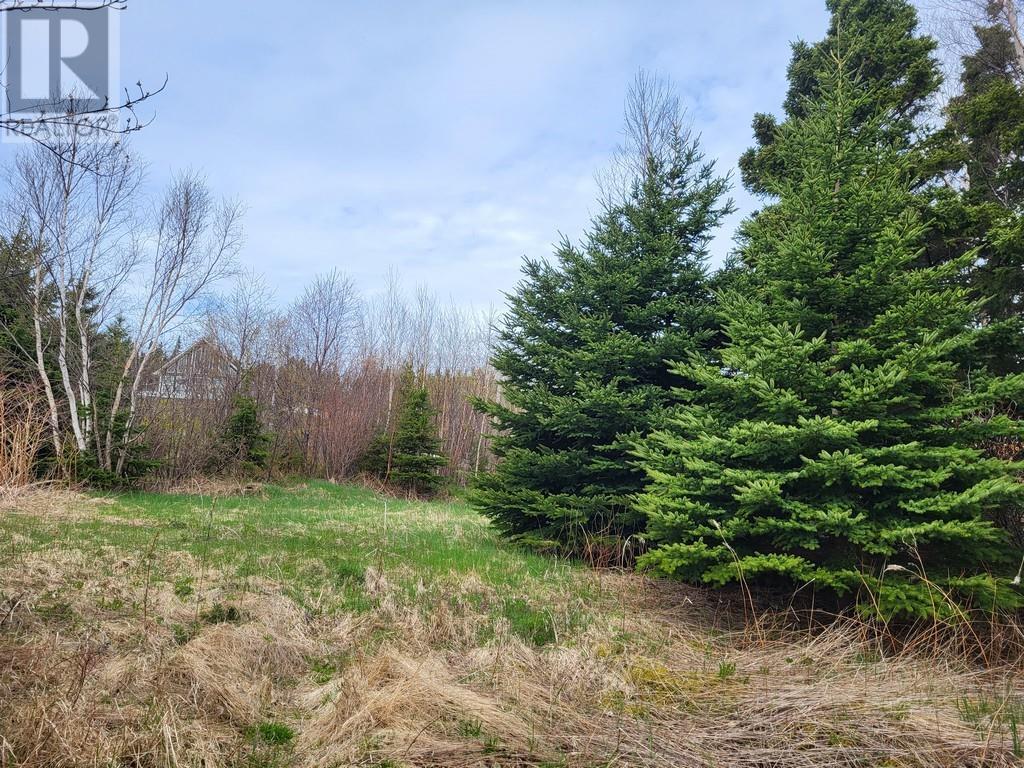 394 Main Street, Northern Arm, NL