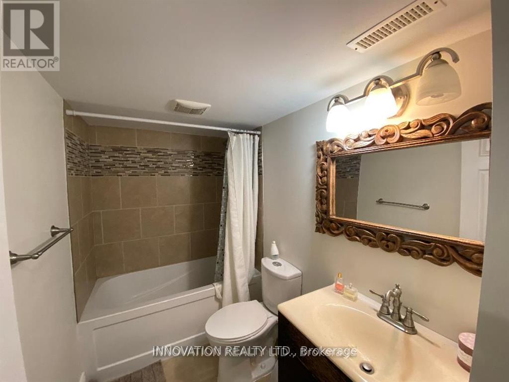 11 Cedar Park Street, Ottawa, ON - Indoor Photo Showing Bathroom