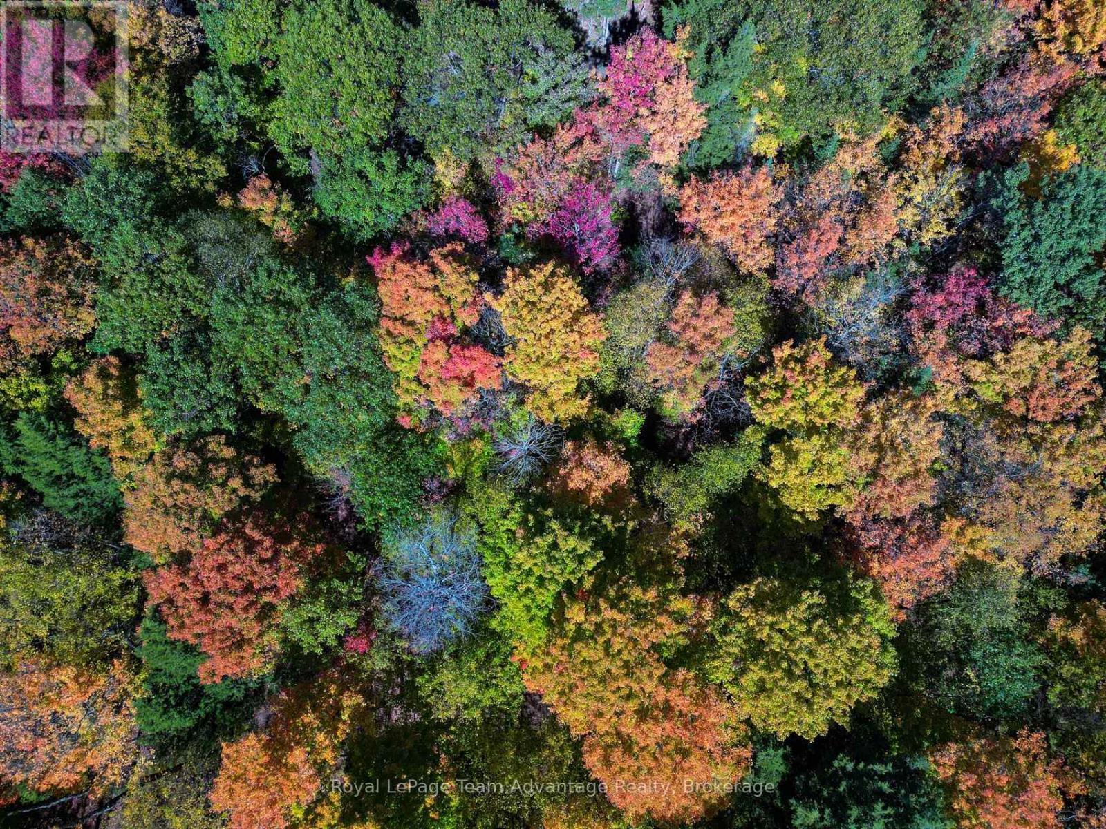 186 Turtle Lake Road, Seguin, ON