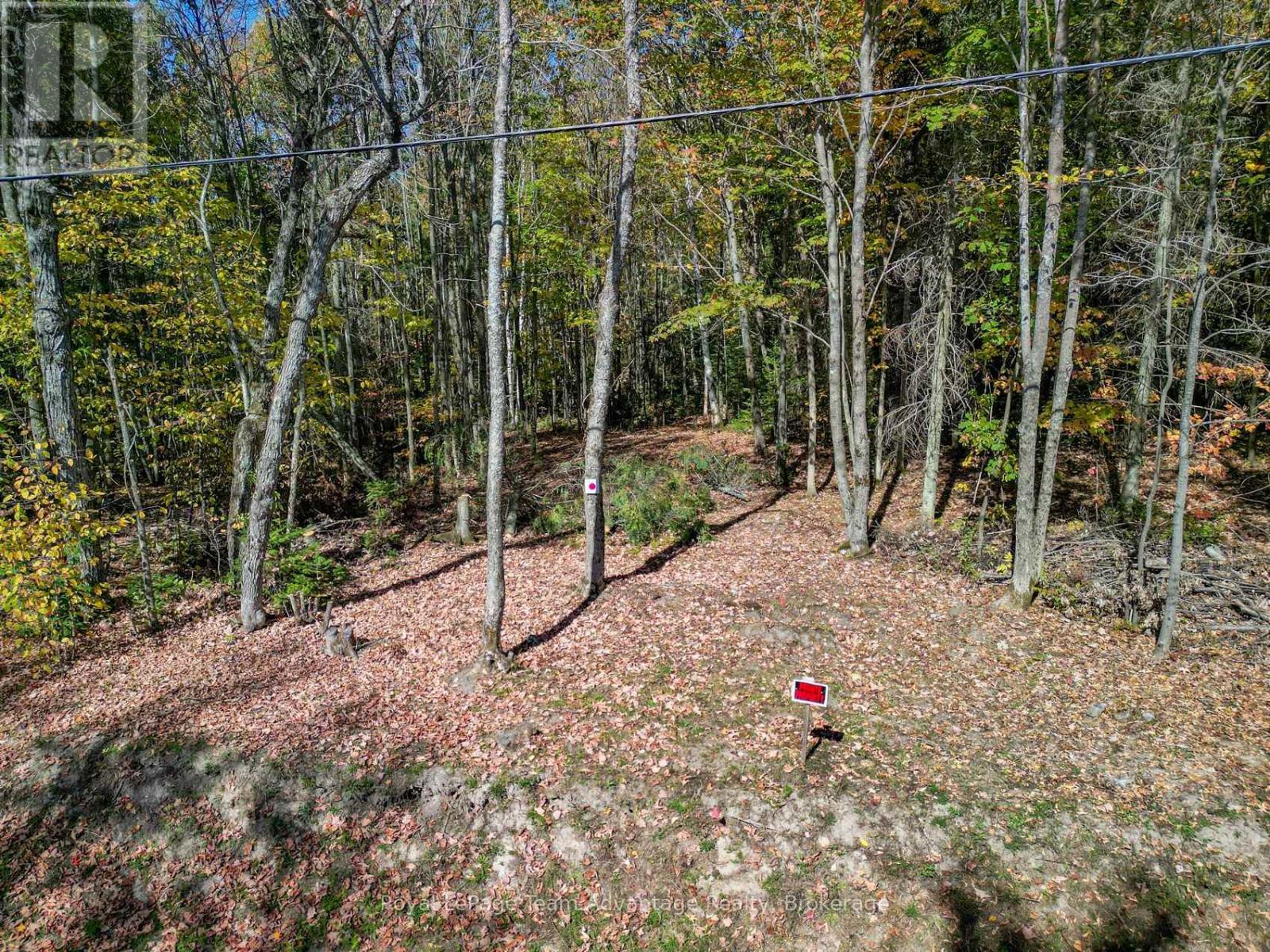 186 Turtle Lake Road, Seguin, ON