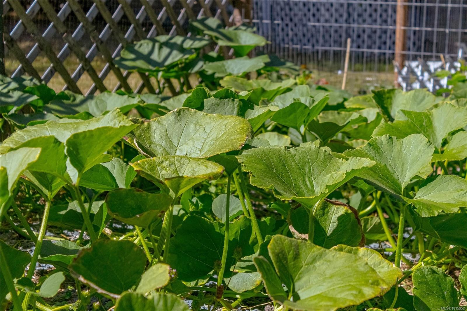 10821 Chemainus Rd, Saltair, BC