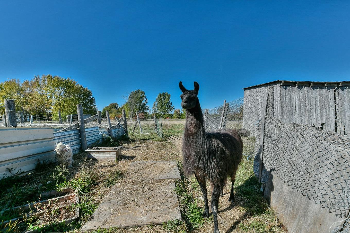 Barn - 1535 Mtée De La Côte-Rouge, Mirabel, QC - Outdoor