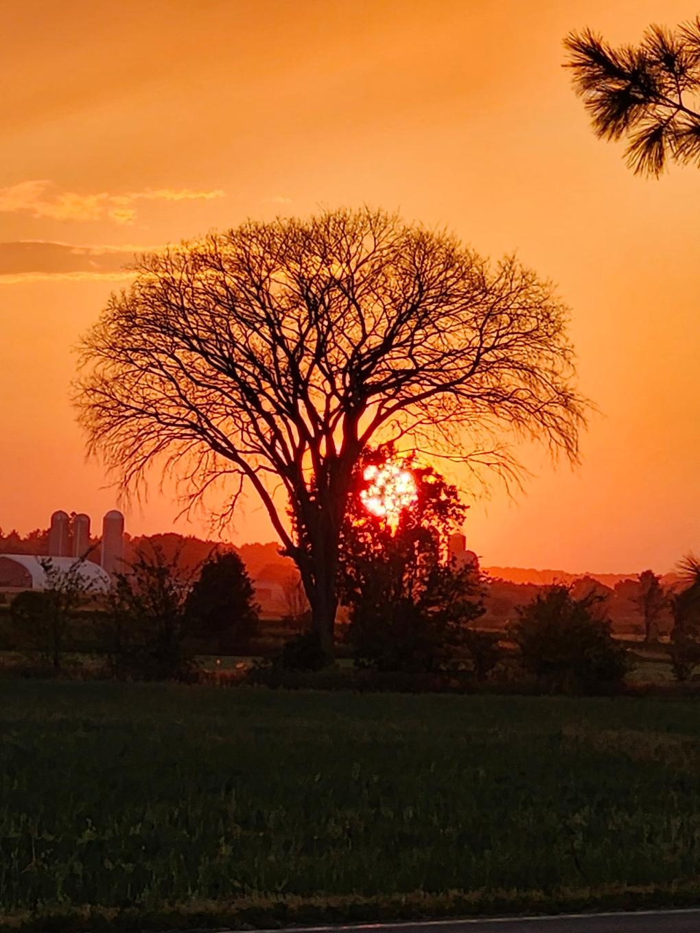 View - 1535 Mtée De La Côte-Rouge, Mirabel, QC - Outdoor With View
