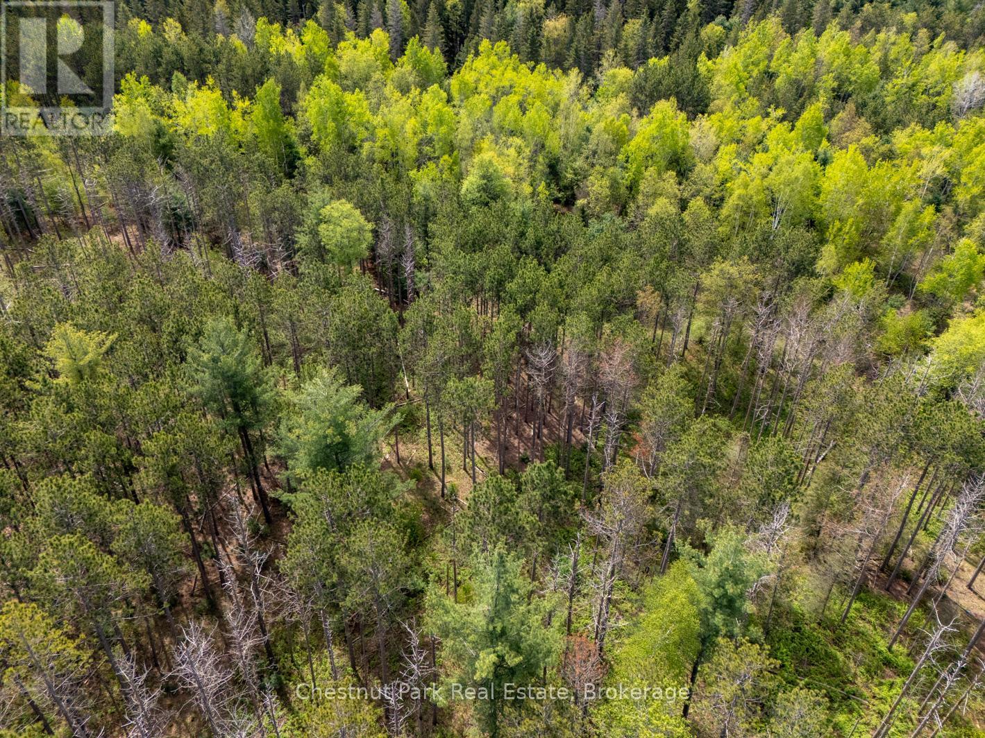 Pt 2 Lt 24 4Th Line E, Mulmur, ON