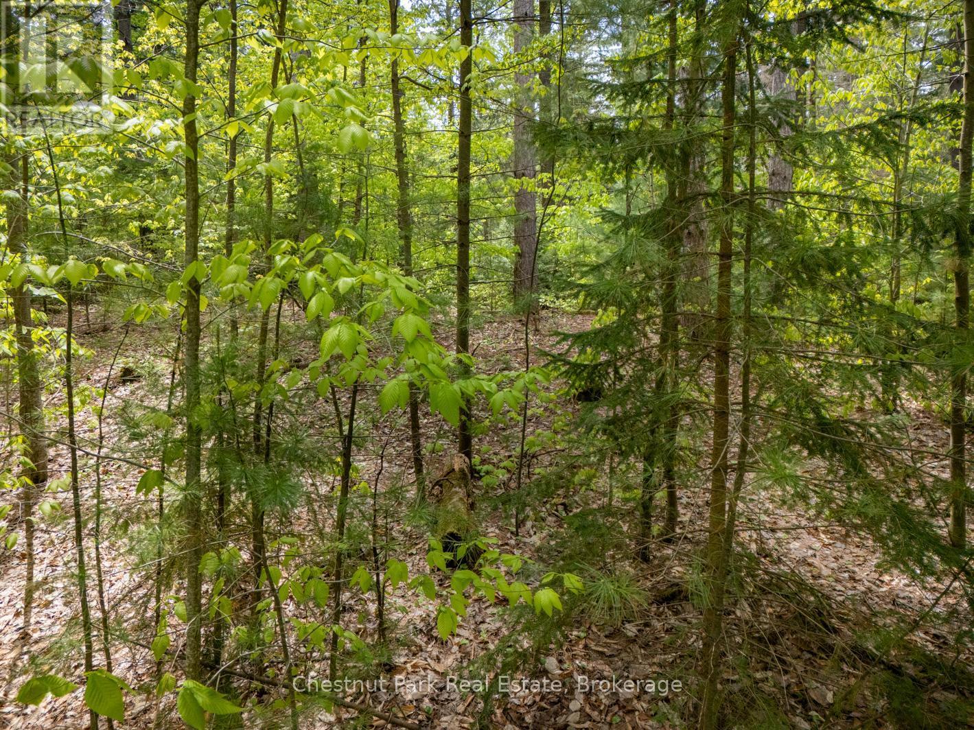 Pt 2 Lt 24 4Th Line E, Mulmur, ON