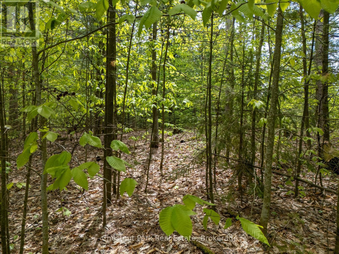 Pt 2 Lt 24 4Th Line E, Mulmur, ON