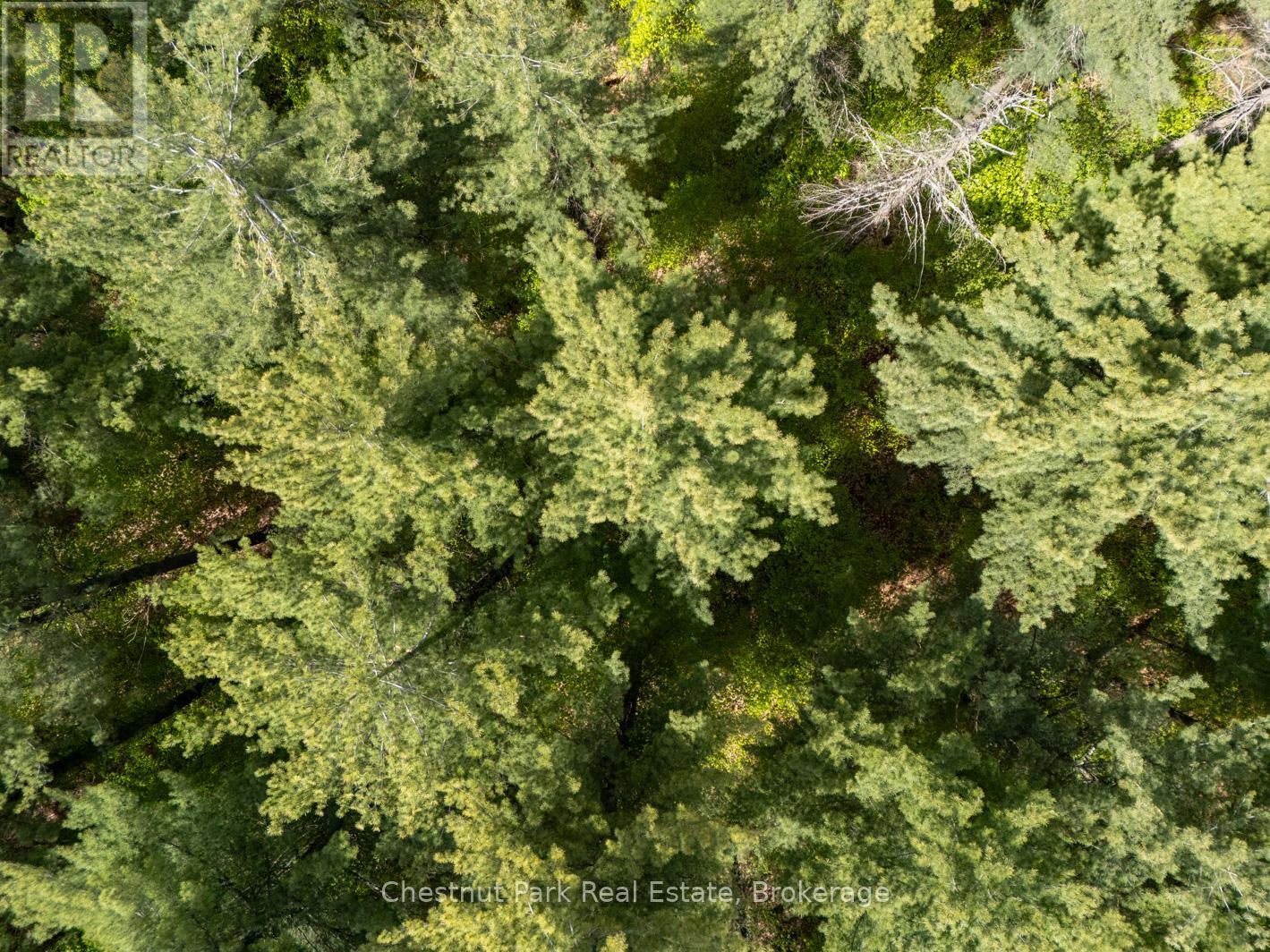 Pt 2 Lt 24 4Th Line E, Mulmur, ON