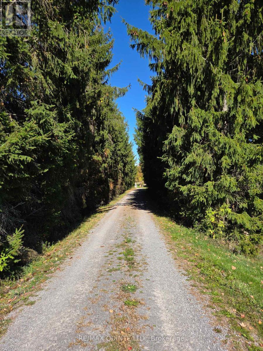 551 Marlbank Road, Tweed (Hungerford (Twp)), ON - Outdoor With View