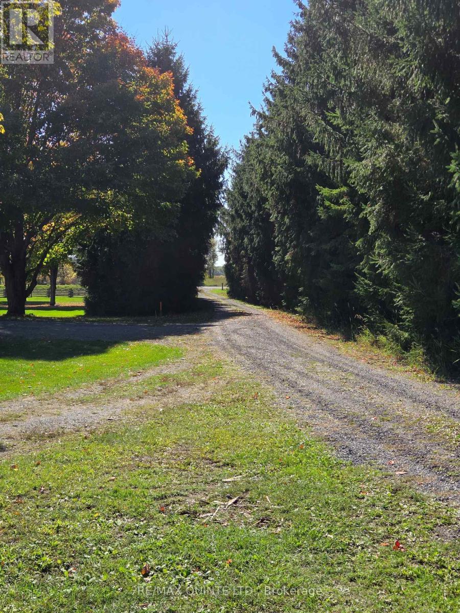 551 Marlbank Road, Tweed (Hungerford (Twp)), ON - Outdoor