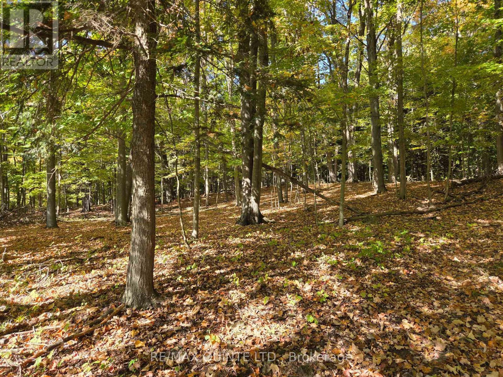 551 Marlbank Road, Tweed (Hungerford (Twp)), ON - Outdoor With View