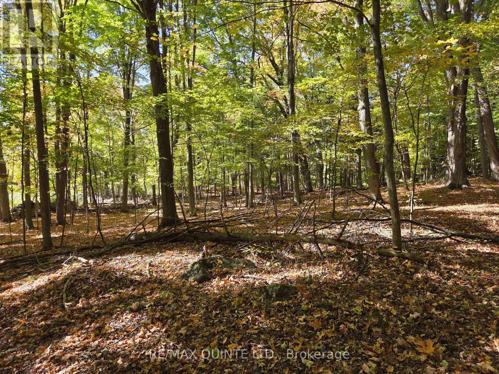 551 Marlbank Road, Tweed (Hungerford (Twp)), ON - Outdoor With View