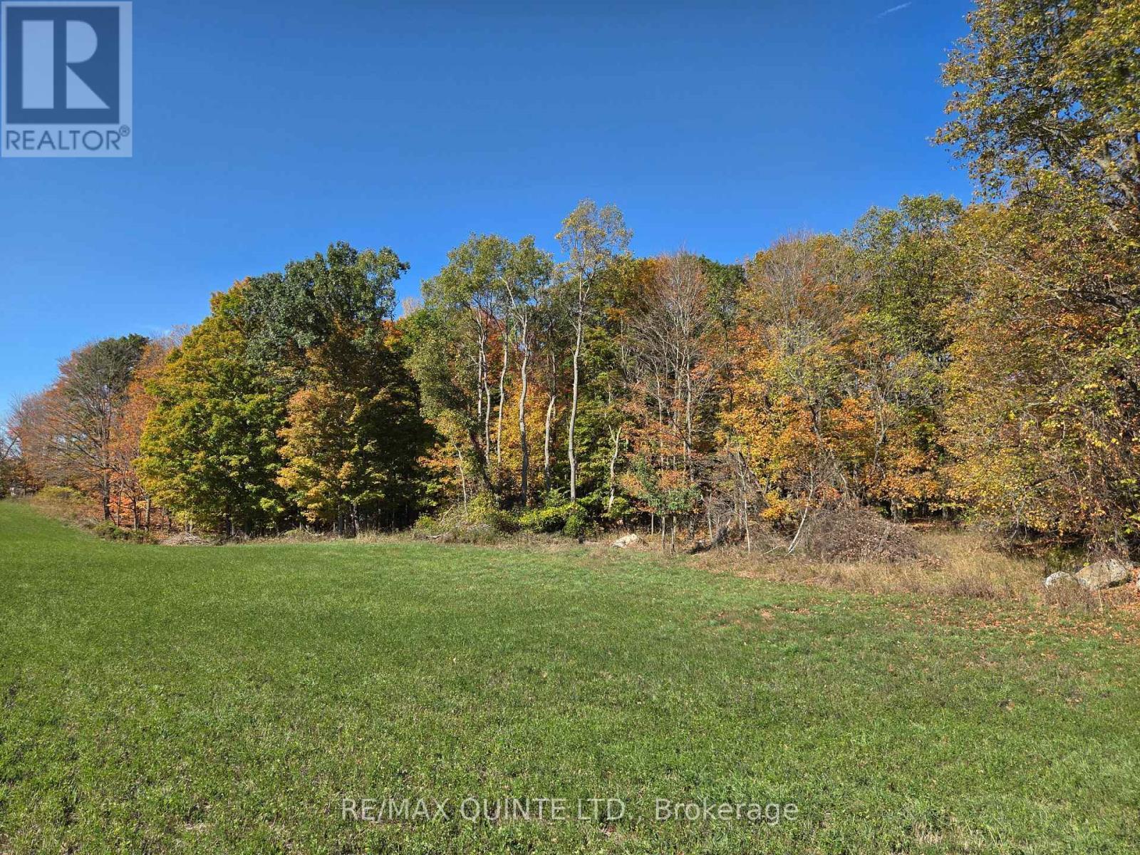 551 Marlbank Road, Tweed (Hungerford (Twp)), ON - Outdoor With View