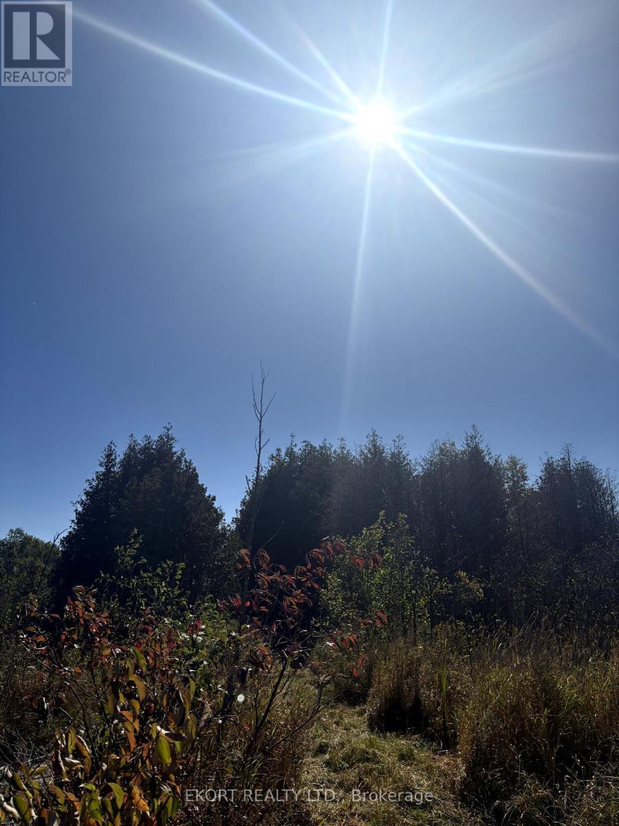 309 Vanderwater Road, Tweed (Hungerford (Twp)), ON